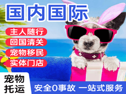 忻州机场空运国际宠物托运 【国